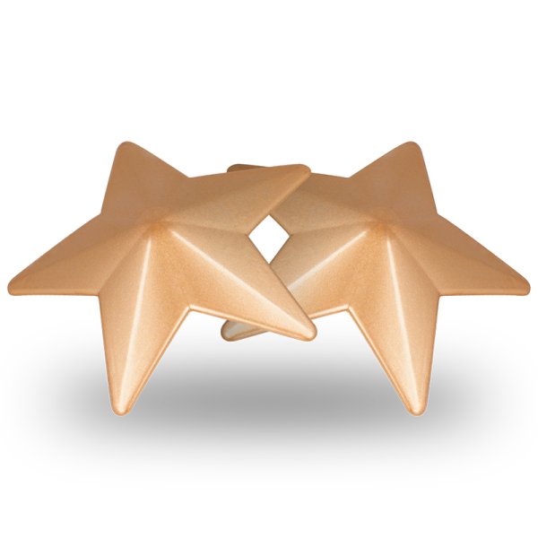 COQUETTE CHIC DESIRE - NIPPLE COVERS GOLDEN STARS - Image 4